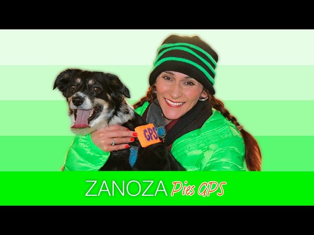 Zanoza - Pies GPS 2017