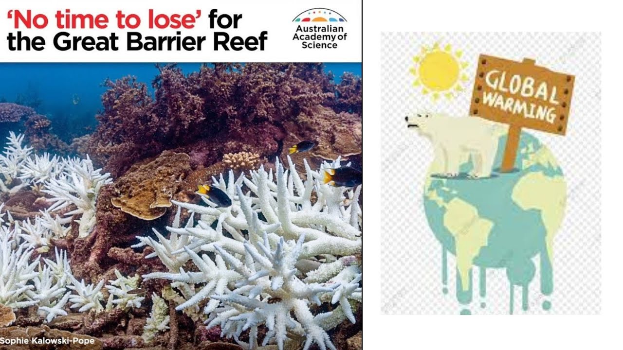 Why is the great barrier reef important no time to lose for great
