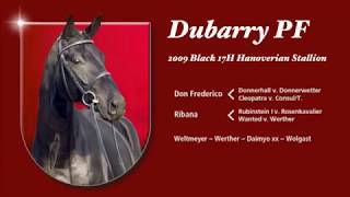 Dubarry PF Hanoverian - YouTube