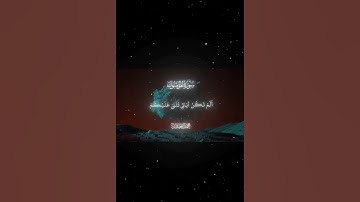 سوره المؤمنون / محمد اللحيدان