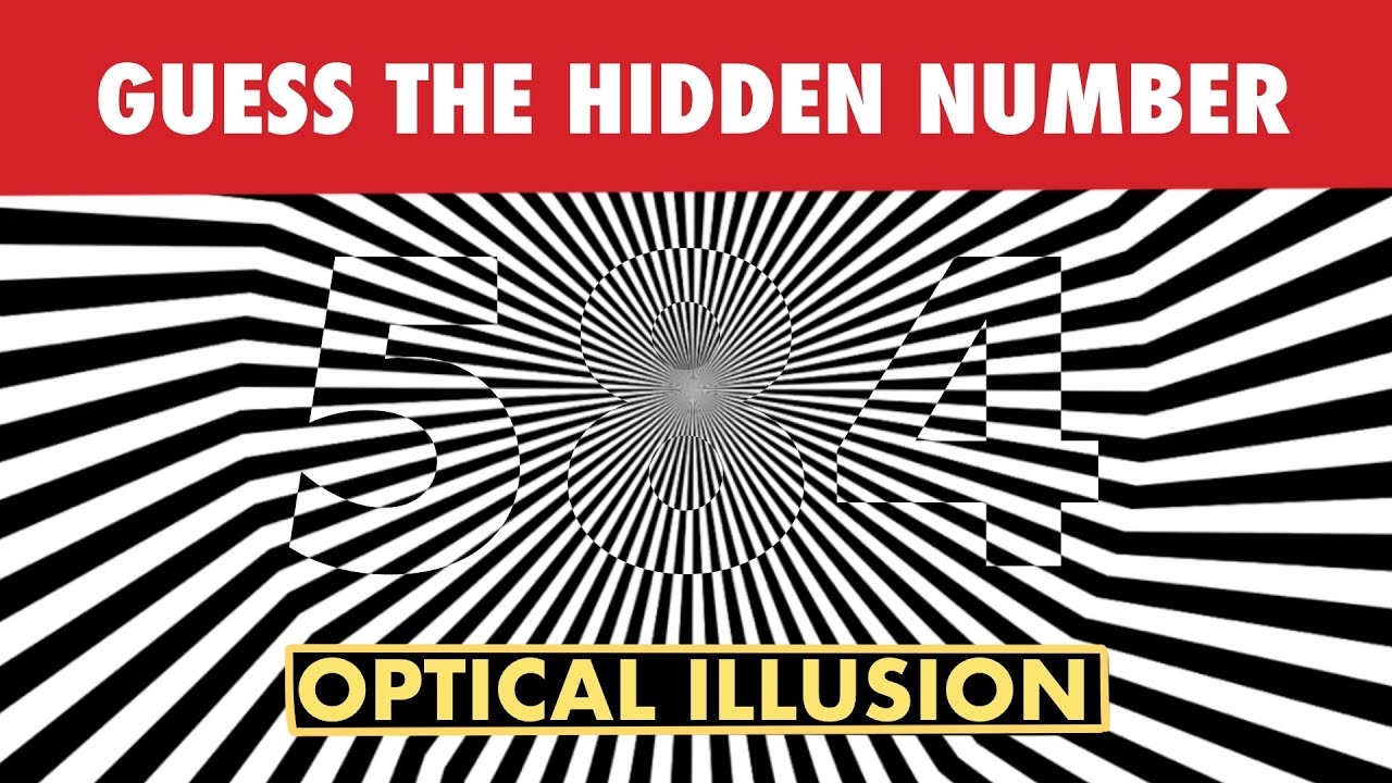 hiddensnow です♪ Guess The Hidden Number - Optical Illusion Test - Eye Puzzle