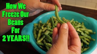 Freezing Beans ~ Good For 2 Years! by The Cook Family Homestead 150 views 8 months ago 5 minutes, 34 seconds