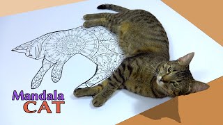 How to make / draw your mandala cat by Jonasek The Cat 5,970 views 7 years ago 2 minutes, 46 seconds
