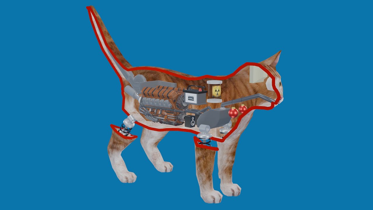 ¿Cómo funciona un gato?