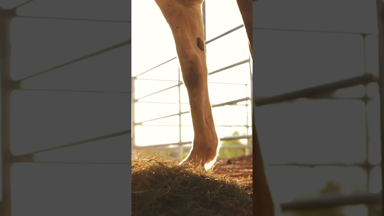 Large Utha ranch property with guaranteed hunting rights