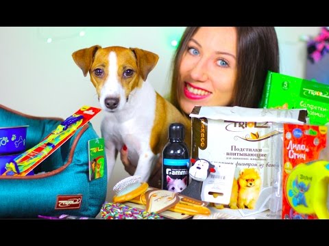 ЧТО НУЖНО ДЛЯ ПОЯВЛЕНИЯ ЩЕНКА В ДОМЕ | СТАРТОВЫЙ НАБОР ДЛЯ СОБАКИ | Elli Di Pets