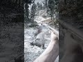 Best Survival Skills vid587 #shorts #gaming