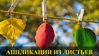 Аппликации из осенних листьев своими руками ☂ Идеи для творчества