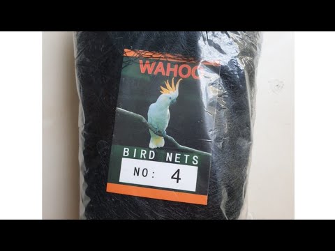 Video: Jaring Burung Untuk Strawberi (23 Foto): Bagaimana Menarik Dan Menutupnya Dengan Betul Dengan Penyokong? Ciri-ciri Melindungi Beri Dengan Jaring Pelindung