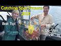 Best Bait Spot Prawn Catch & Cook + De-vein Trick