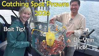 EPIC Spot Prawn Catch & Cook + Best Bait and De-vein Trick