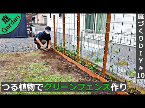 庭づくりdiy 10 つる性植物を使ってグリーンフェンスを作る How To Make A Fence Using Plants Youtube