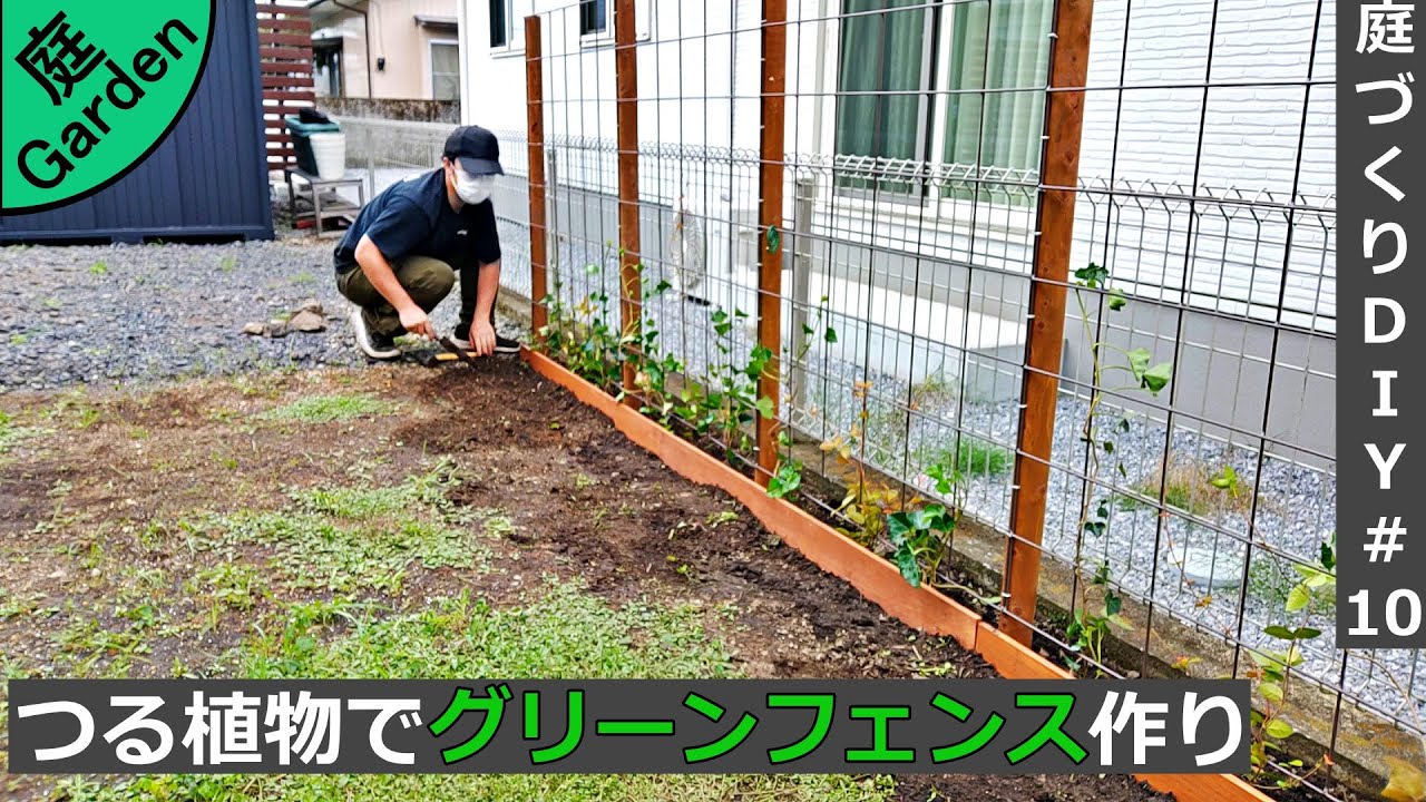 庭づくりdiy 10 つる性植物を使ってグリーンフェンスを作る How To Make A Fence Using Plants Youtube