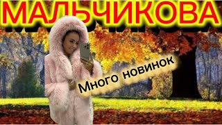 картинка: 29 сентября 2025 г.