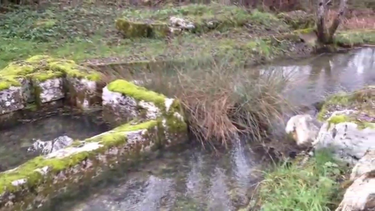 Une des sources du Blâme