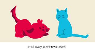 Sean Casey Animal Rescue: Intro to Our Critical Care Program