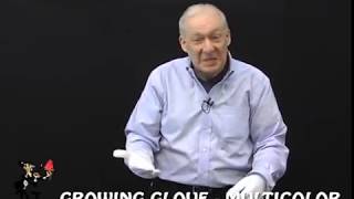 GROWING GLOVE - MULTICOLOR - DAYTONA MAGIC