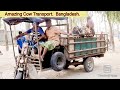 How to Transport Cow - Export Technology - Amazing Cow Transport Truck. Krishi Deepti.