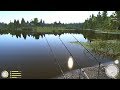 Русская рыбалка 4 - озеро Старый Острог - Сижу с фидерами на яме