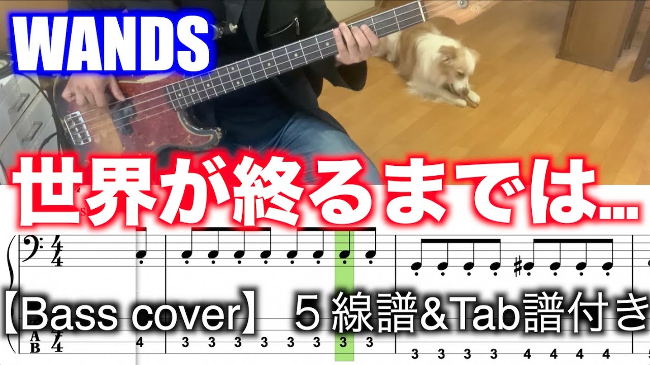 Slam Dunk 世界が終るまでは Wands Bass Cover ５線譜 Tab譜付き Youtube