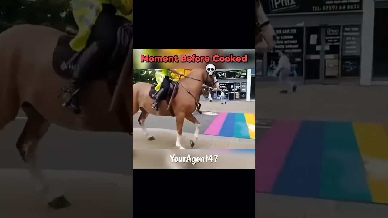 Respect these horse 🗿 