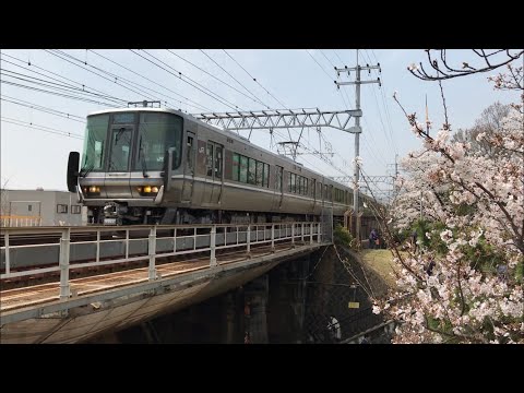 223系2000番台 新快速 芦屋駅 → さくら夙川駅 【桜】