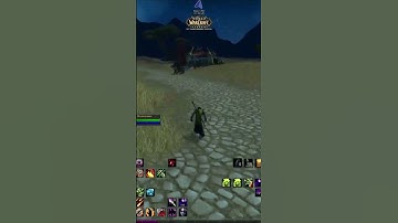 🔮 CHILL WARLOCK LEVELING in WoW Classic! (Fast-Paced) #worldofwarcraft #warcraft #wow #wowclassic