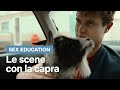 Tutte le scene con la CAPRA di Sex Education | Netflix Italia