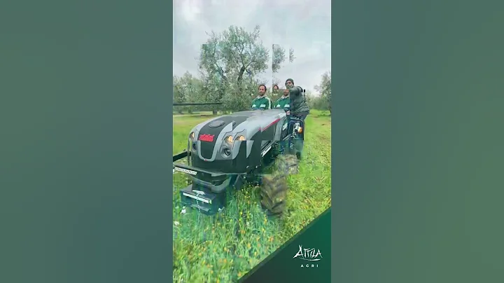 Trincia Attila - Shredder