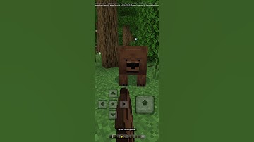 BEST BIOME MOD FOR MINECRAFT BEDROCK 1.21