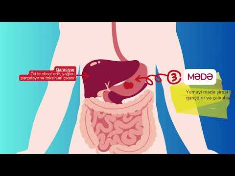 Həzm sistemi haqqında nə bilirik?!