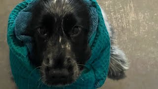 Couture - Épisode 1 Confection Dun Snood