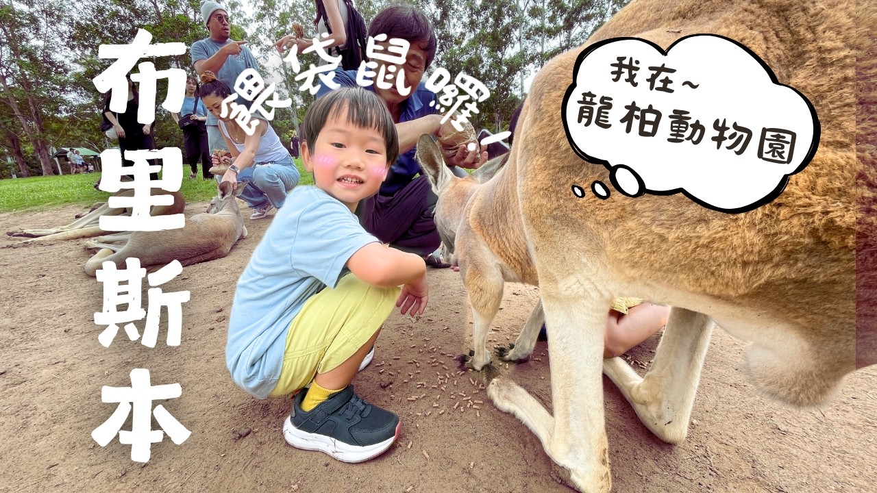 玩翻澳洲 EP6｜袋鼠居然偷親我～龍柏動物園太瘋狂了！無尾熊、袋鼠在我身邊走來走去！｜ 玩翻澳洲 EP6