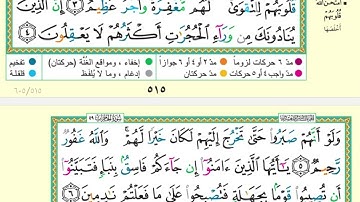 سورة الحجرات من 4 إلى 6 