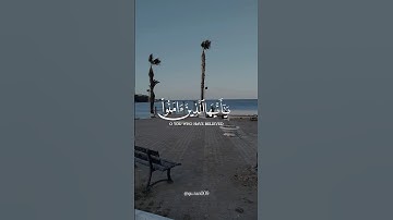 سورة الأحزاب قرای عبدالله الموسى يأيها الذين آمنوا #quran #اكسبلور #راحة_نفسية #explore #الله