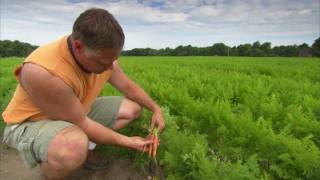 The NatureSelect™ Story Chapter 2: Growing the Gerber Way