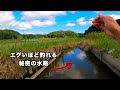 おとなを夢中にさせる田園の宝石釣り【タナゴ釣り】