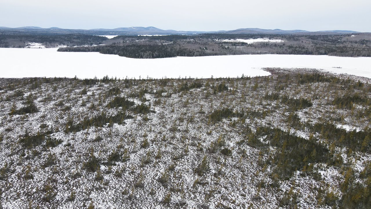 [SOLD] Maine Land for Sale Lakefront 12 Acres in Fletchers Landing