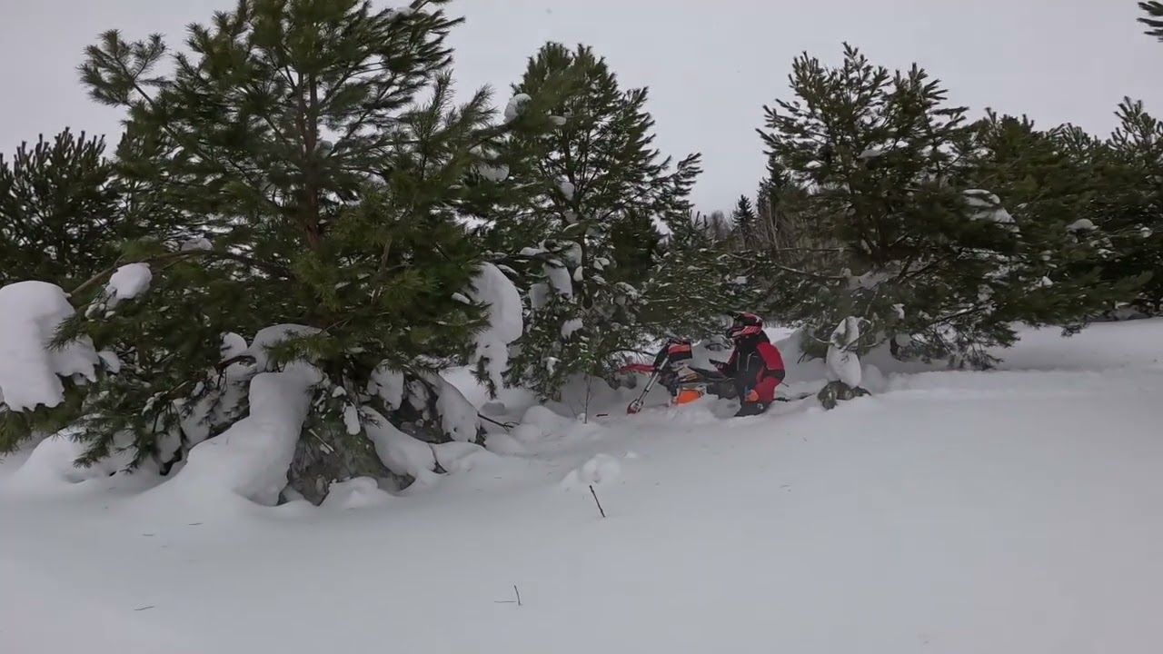 Эндуро на сноубайках: тонули в сугробе, встретили зайца #snowbike #kews #сноубайк 