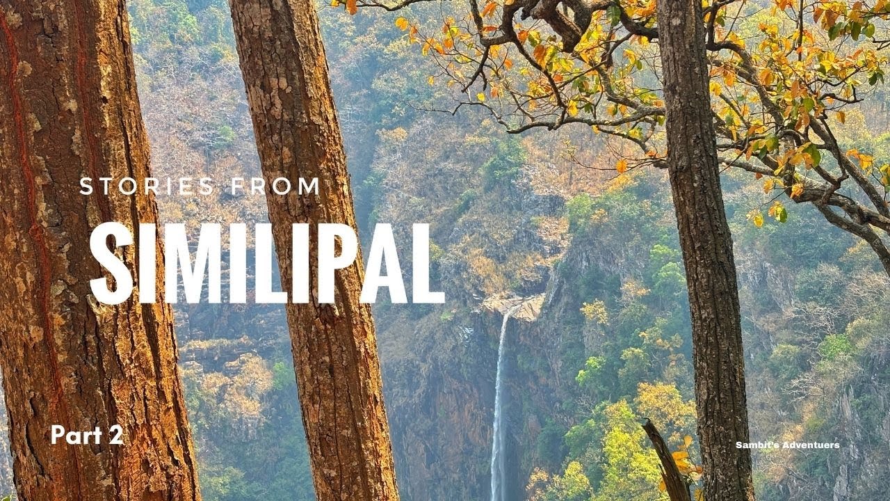 Hidden Waterfall in Simlipal Tiger Reserve — You Won't Believe This Place! 🌊🐅 (Ep 2)