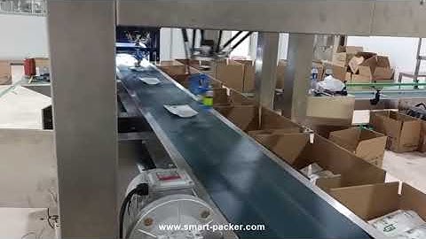 Salt bag robot hand sorting feeding cartoning machine automatic robot hand pick sorter encasing line