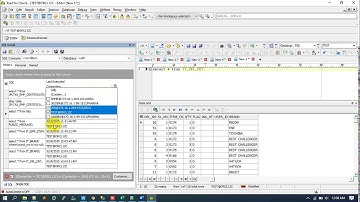 How to View Toad History from Oracle Toad | Muhammad Abdul Quium (V-139)