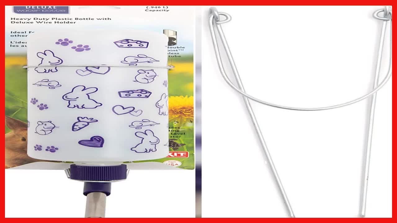 Lixit 32oz Weather Resistant Water Bottles with Heavy Duty Mount for Rabbits and Ferrets Rabbits