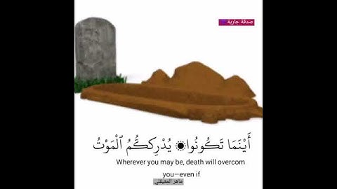 {قل متاع الدنيا قليل}😌 ماهر المعيقلي ✨ حالات واتس اب قرآن كريم 💦