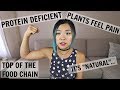 COMMON "ARGUMENTS" AGAINST VEGANISM // VEGAN TALKS