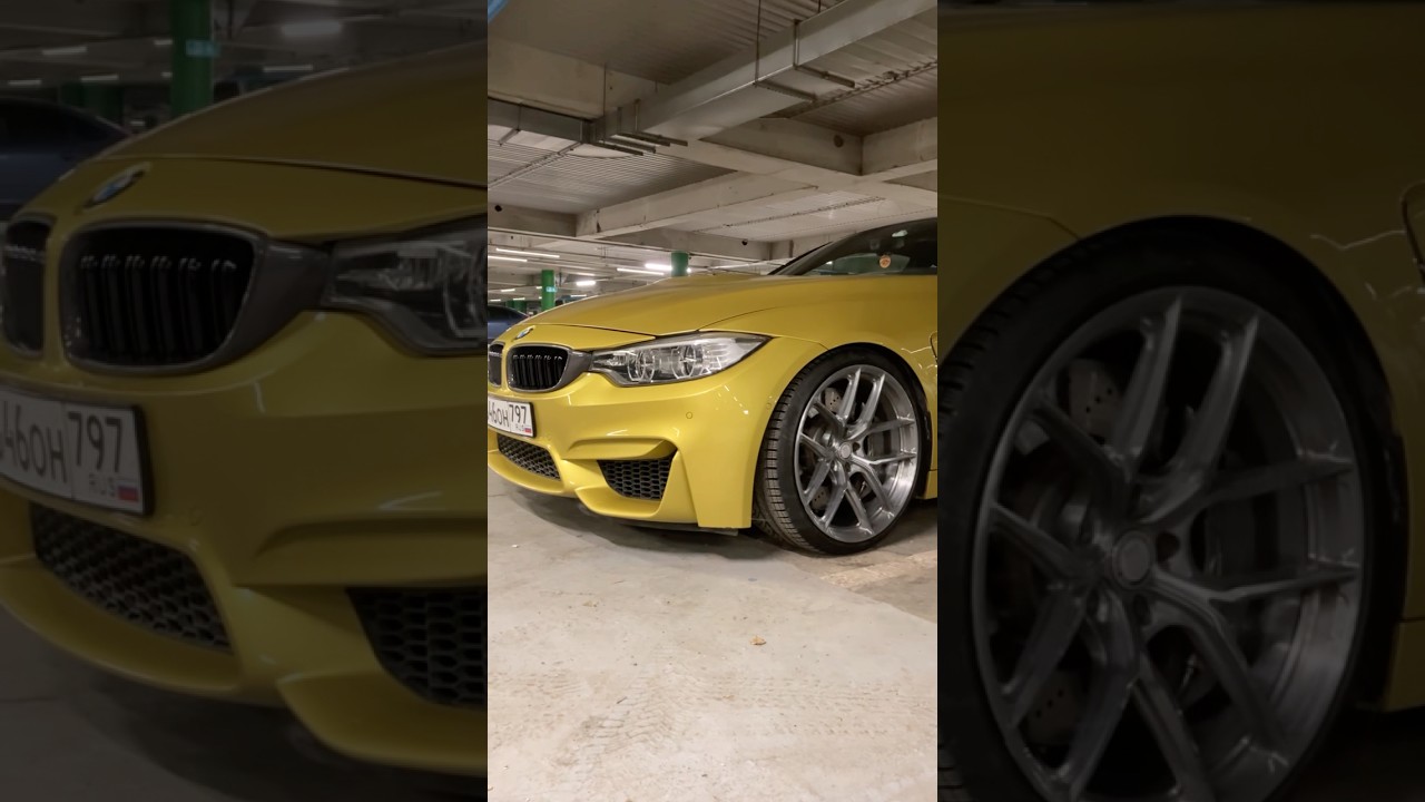 Красавчик 📌