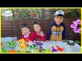 Jayden Lucas and Caydon Learn How to Plant and Grow Woolworths Discovery Garden Seed Kit!