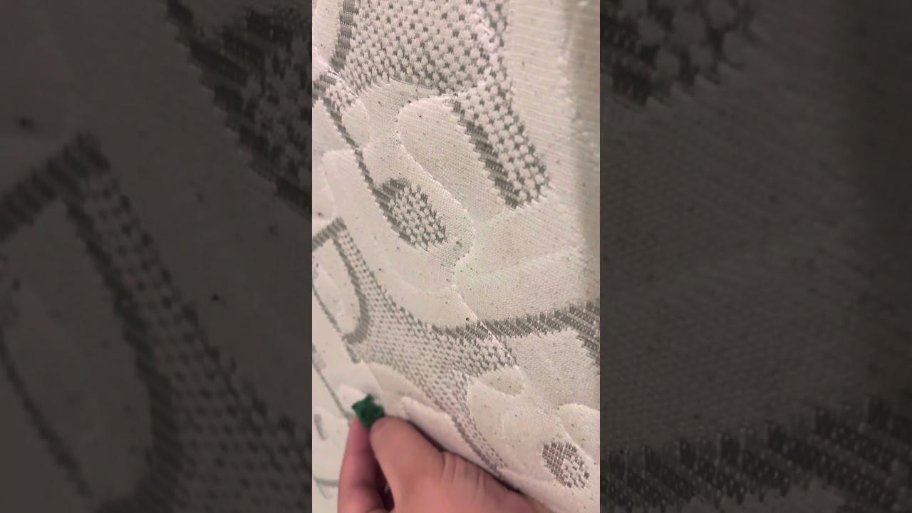 The cabby bar show lobster prey