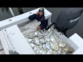 FILLING the boat with POMPANO! (Commercial fishing)
