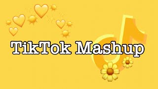 TikTok Mashup 2021 (not clean)